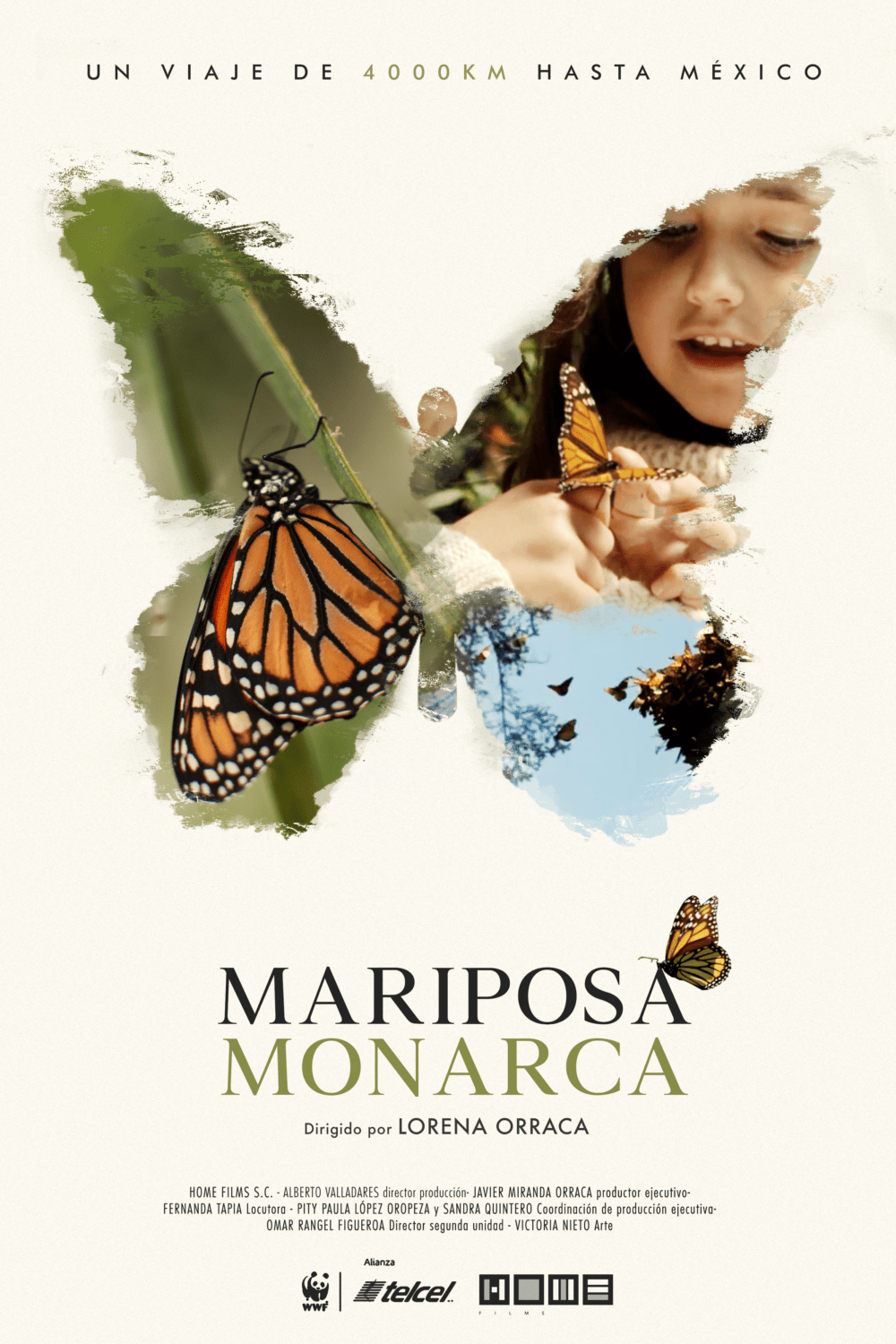 Mariposa cartel_final